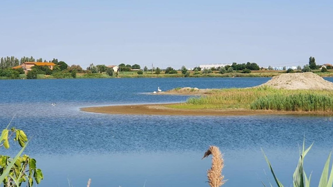 La siccità porta il botulino del delta del Po: sarà prosciugato